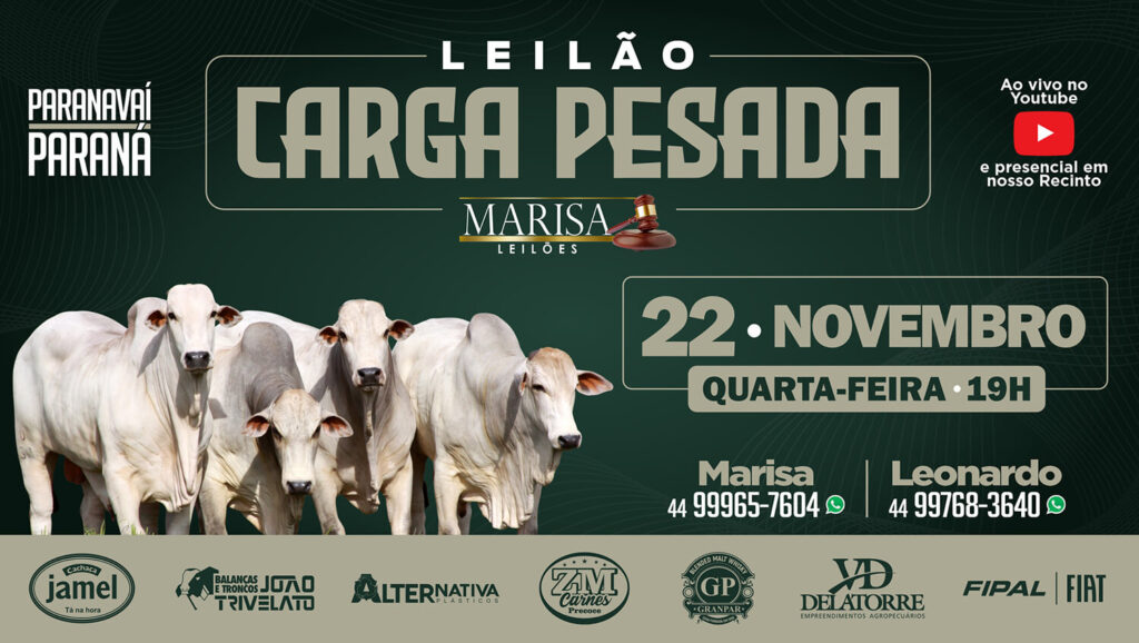 Programa Leilões  Leilões Rurais - Leilões de Gado 19° Leilão Seleção  Haras Terra - Programa Leilões